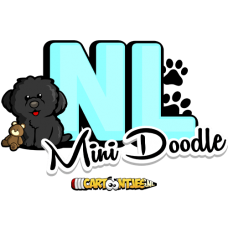 NL mini doodle logo ontwerp