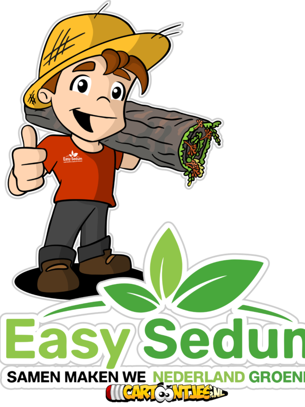 Easy Sedum mascotte