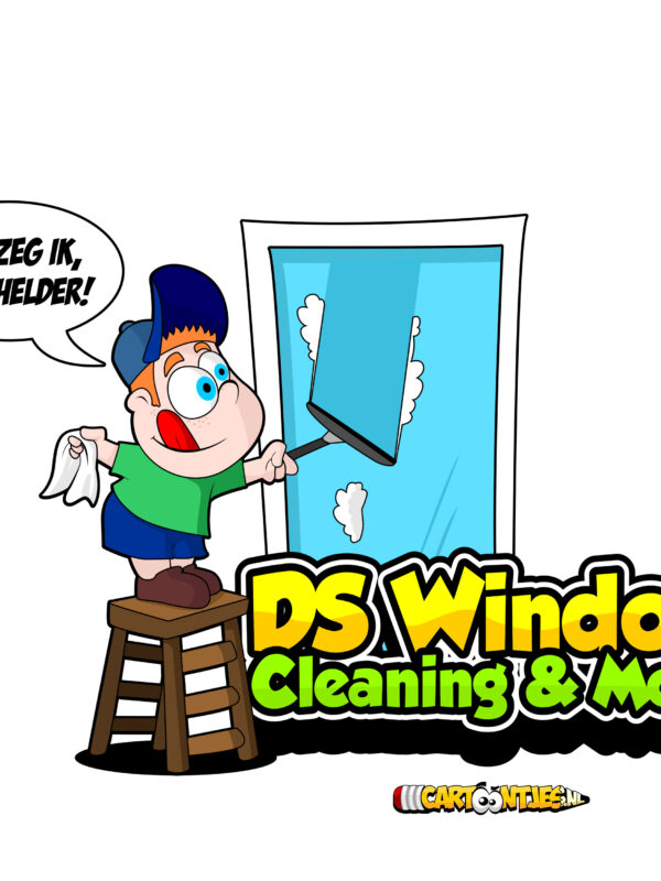 logo-ds-window-cleaning